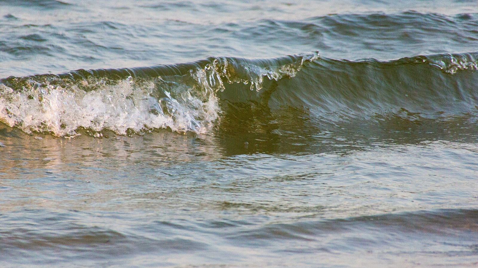 La orilla y las dunas de Oak Island